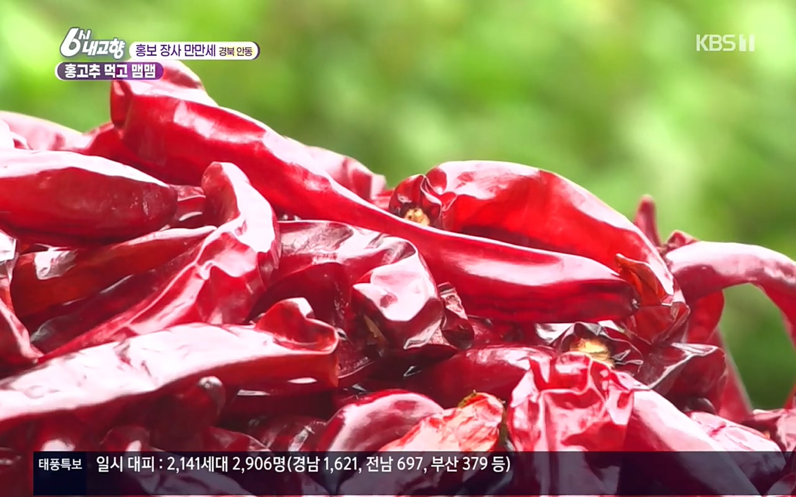 6시 내고향.E7611.220907p.H264-F1RST.mp4_20220908_204247.749.jpg