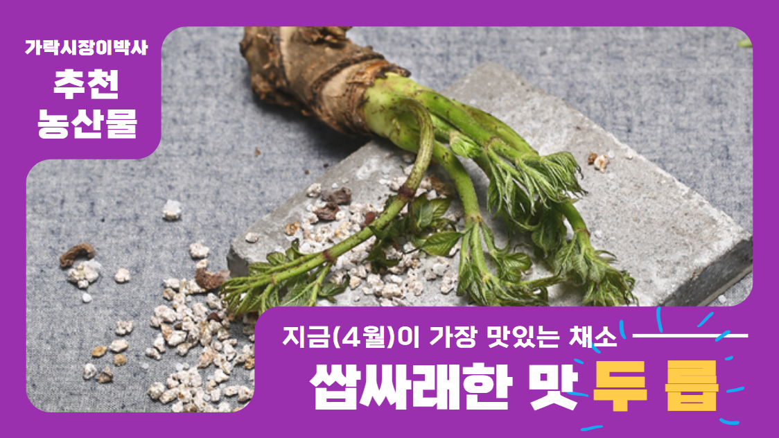  지금(4~5월)이 가장 맛있는 채소는 바로 "두릅" 입니다. 이 기회를 놓치지 마세요~