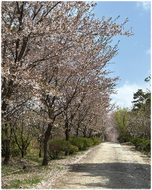 아담원