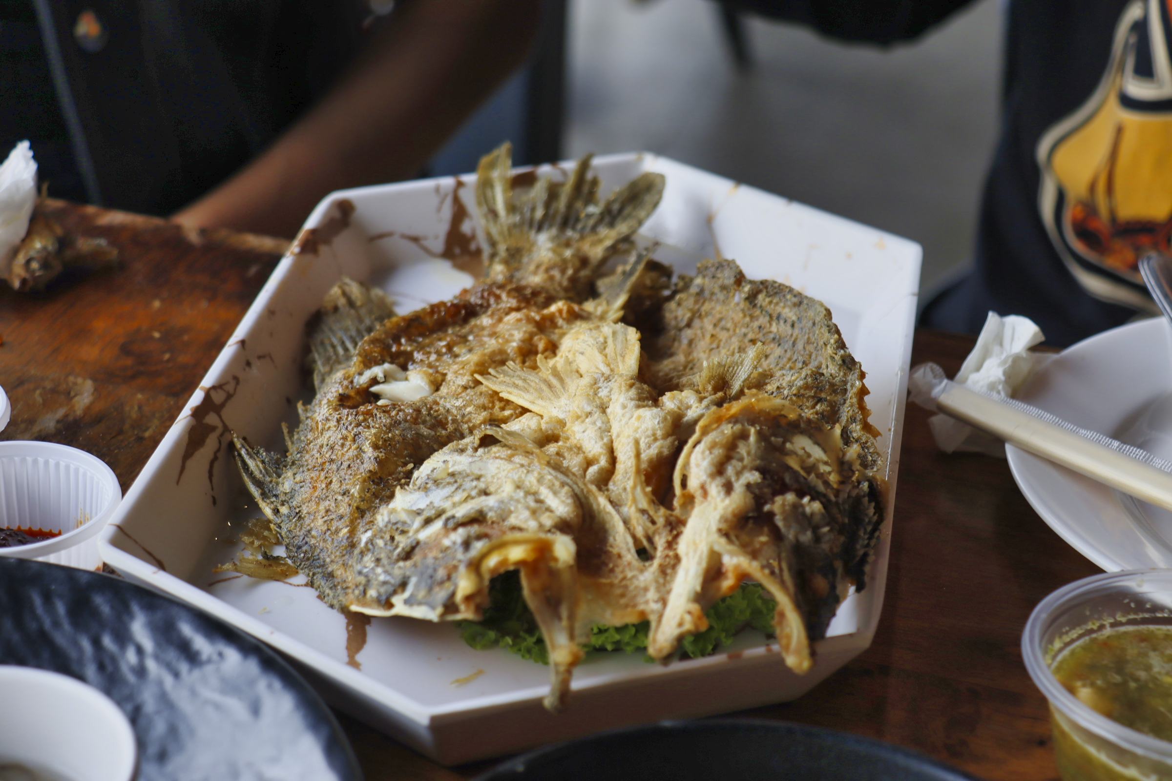 태국 생선