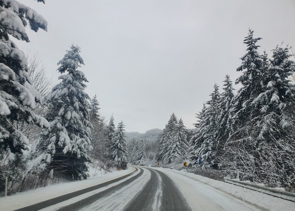 rv RV 카라반 끌고 미국 51