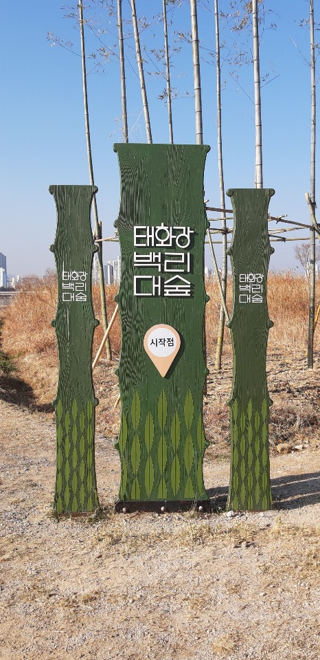  백리 대숲 백리 인생