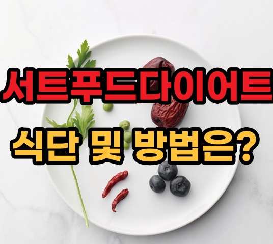  서트 푸드다이어트