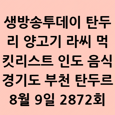  생방송투데이 탄두리 양고기 라씨 먹킷리스트 인도 음식 경기도 부천 탄두르 8월 9일 2872회