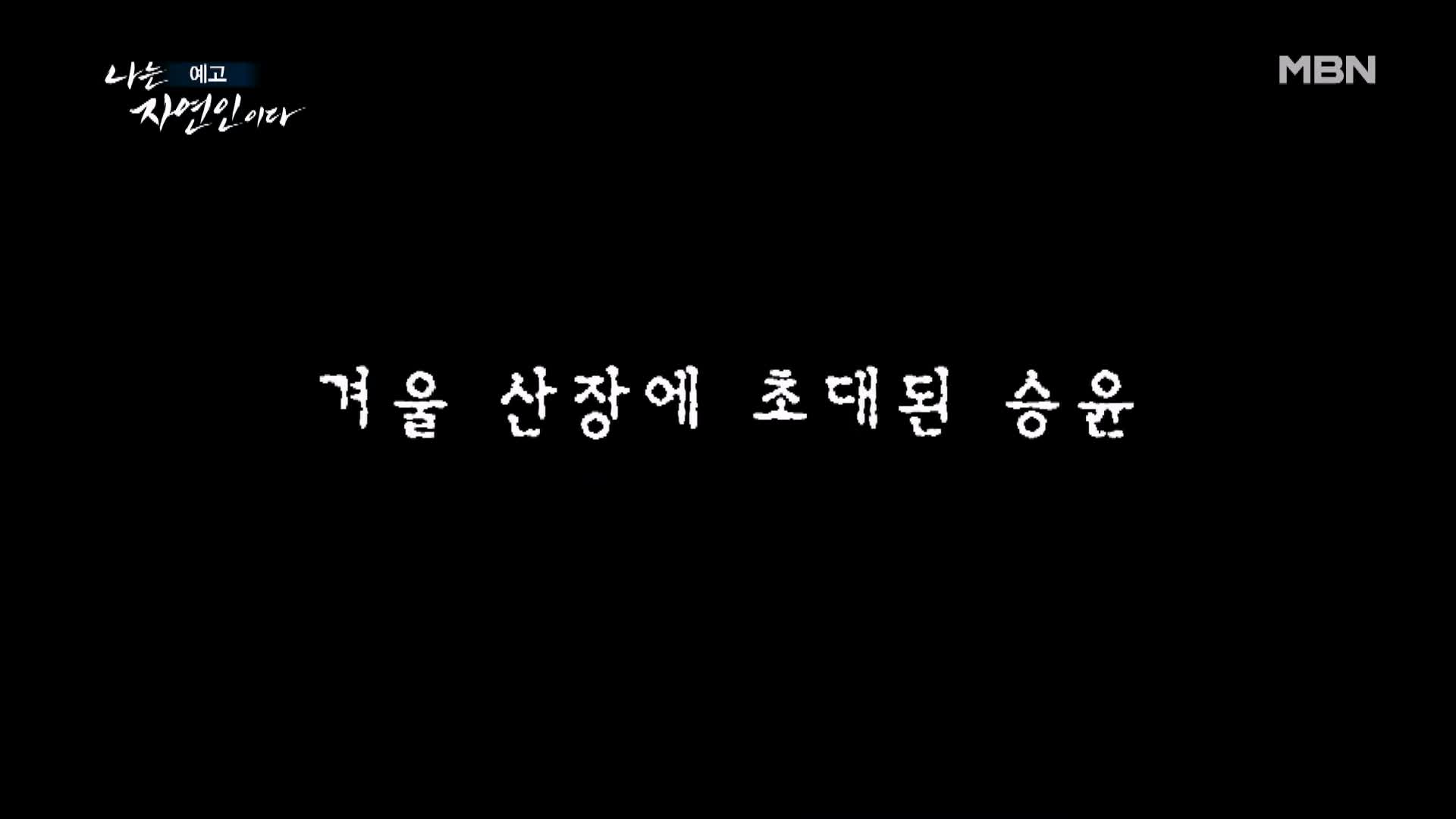 나는 자연인이다 겨울왕국 혹한 자작나무 피톤치드 닭개장 동치미 국수 자연인 김명기 소개 및 이승윤 출연 536회 다시보기