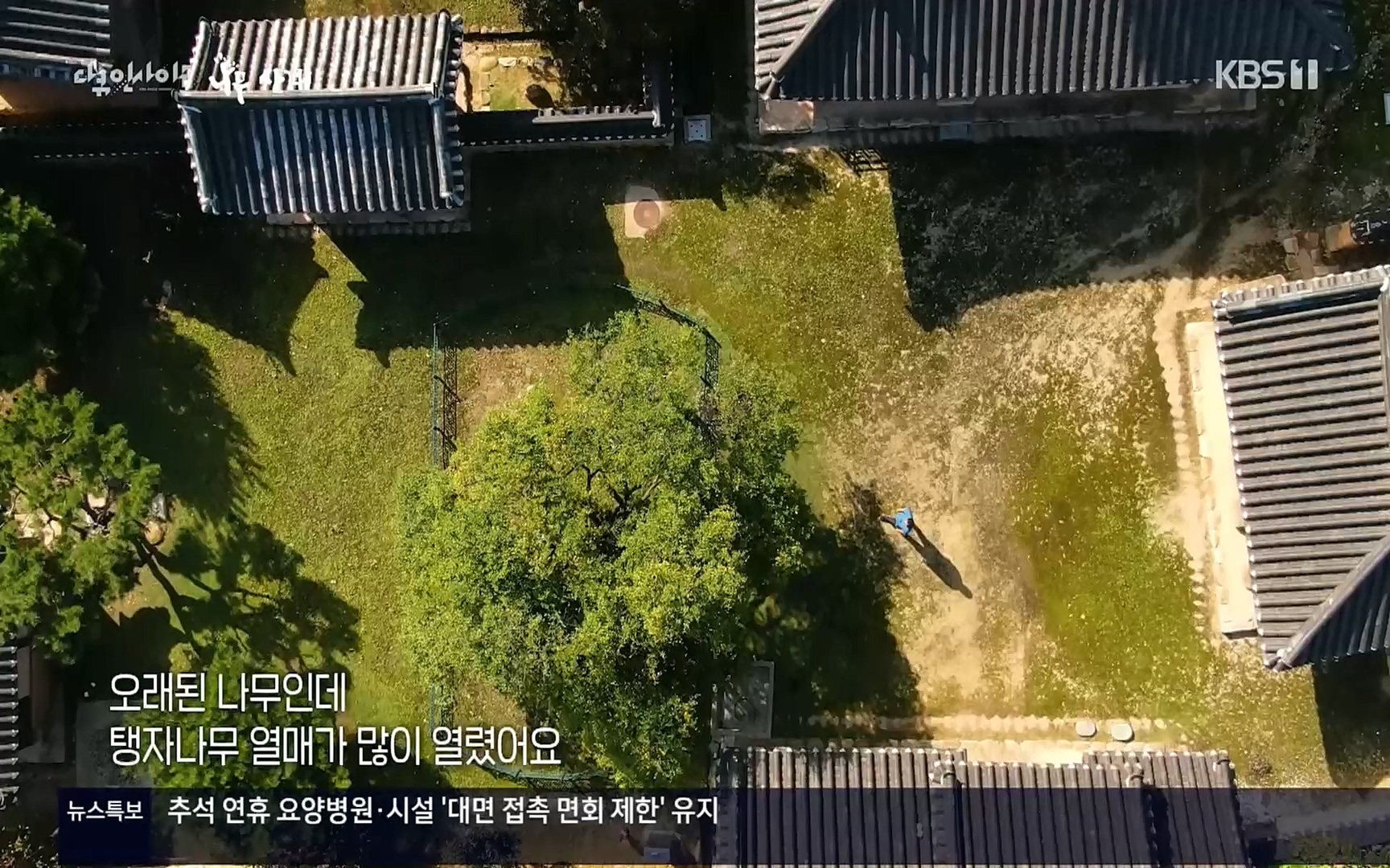 다큐 인사이트.E124.220908p.H264-F1RST.mp4_20220912_143736.575.jpg