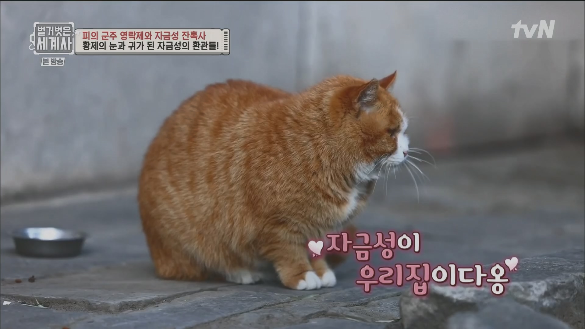 벌거벗은 세계사.E106.230704p.H264-F1RST.mp4_20240130_204705.641.jpg