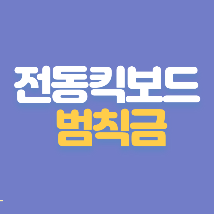  [안전 운행] 전동 킥보드 이럴 경우에 범칙금이 부과됩니다