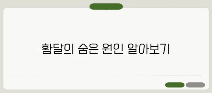 황달의 원인과 증상: 간 건강 체크하기