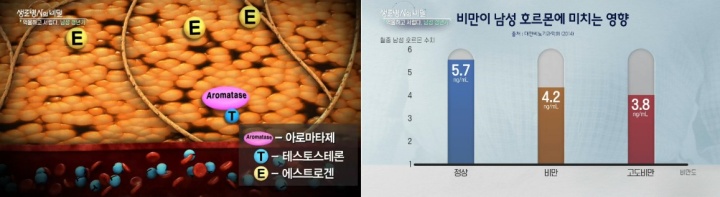 생로병사의비밀-남성-갱년기