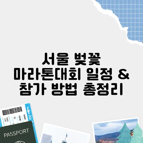 서울 벚꽃 마라톤대회 일정 & 참가 방법 총정리