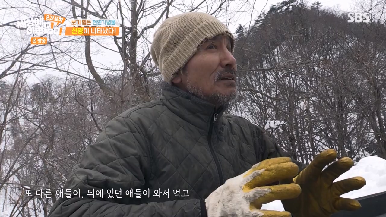 순간포착 세상에 이런일이.E1268.240310p-NEXT.mp4_20240310_132537.273.jpg