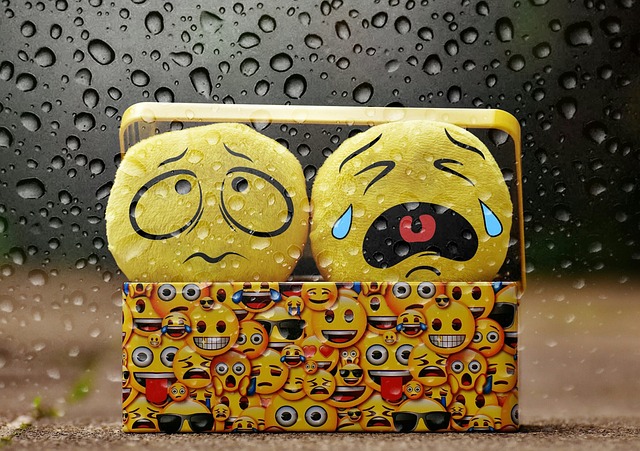 우소 이미지