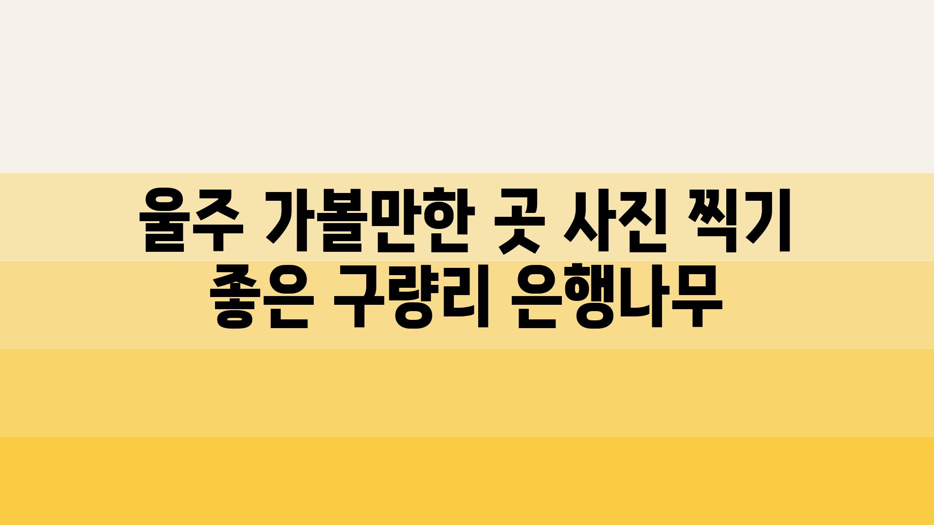 울주 가볼만한 곳 사진 찍기 좋은 구량리 은행나무