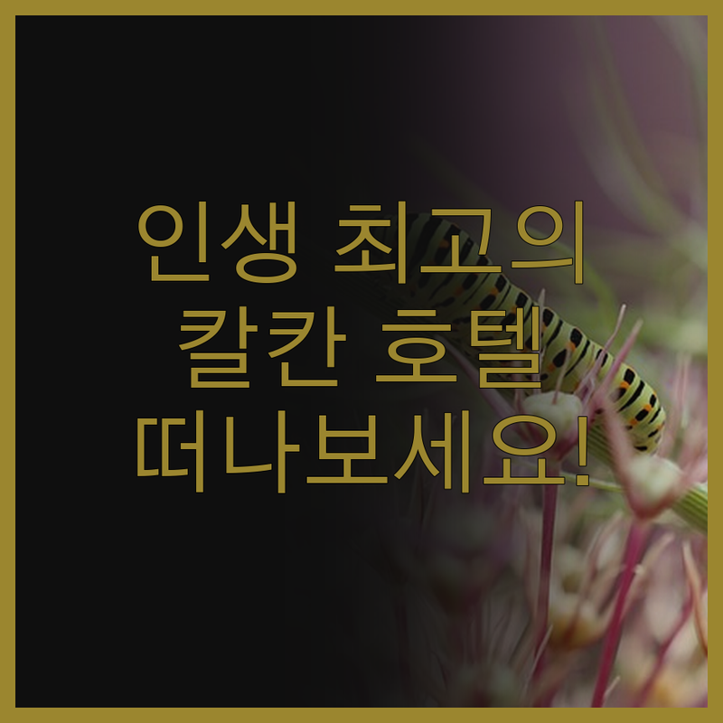 칼칸 호텔, 인생 최고의 선택! 지금