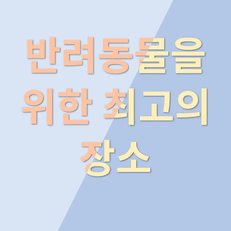 동물분양_1