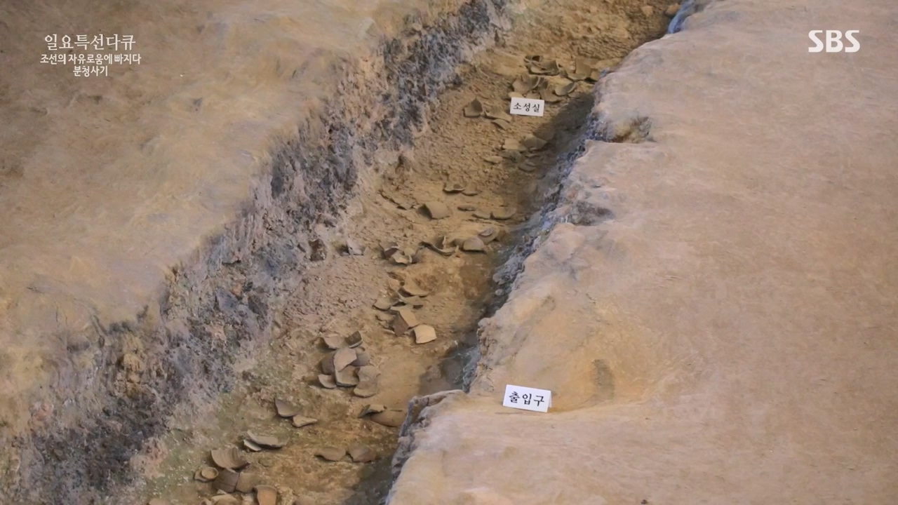 일요특선 다큐멘터리.E338.240129p-NEXT.mp4_20240129_204909.627.jpg