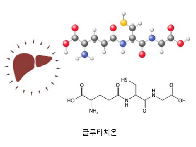 글루타치온 적정 복용 용량