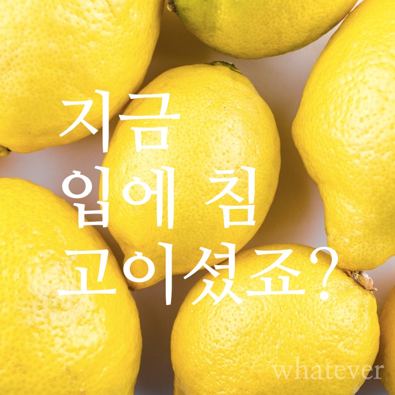 레몬 성분&#44; 효능&#44; 부작용 썸네일