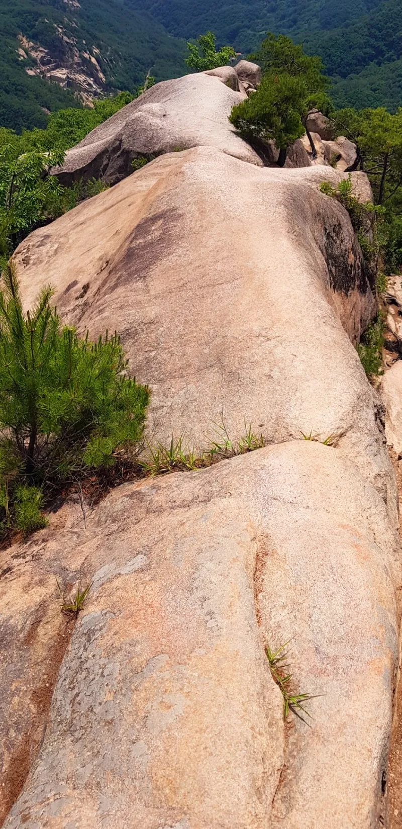 금산 천태산