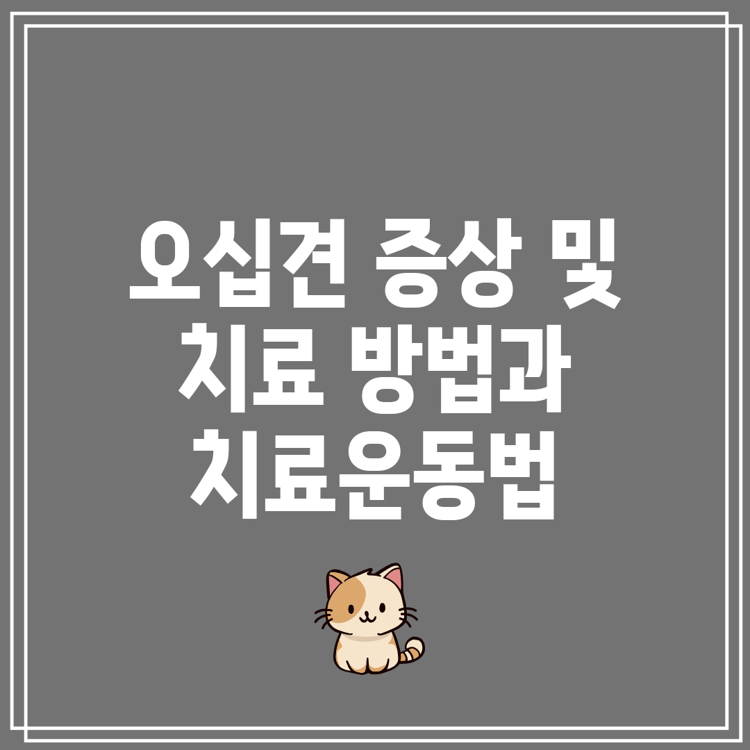 오십견 증상 및 치료 방법과 치료운동법