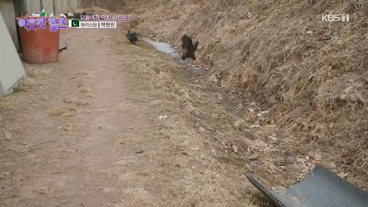 이웃집 찰스.E381.230405p.H264-F1RST.mp4_20230405_200831.433.jpg