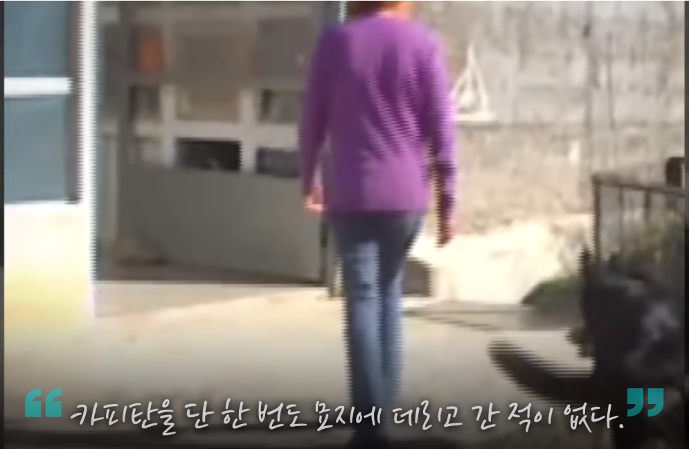 "죽을때까지 여기있을래..." 죽은 주인 곁을 떠나지 못해 무덤에서 오열하는 반려견
