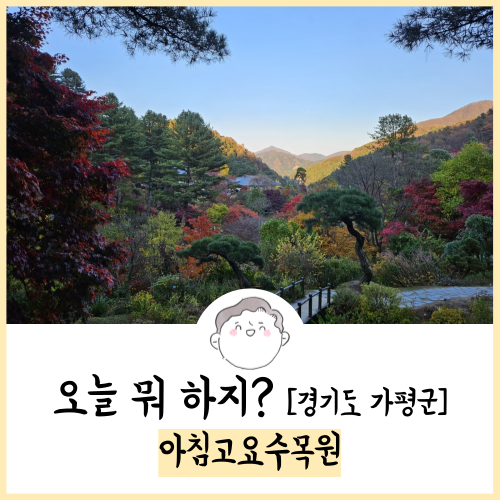  가평 가볼만한곳 아침고요수목원 후기! 23.10.29 방문