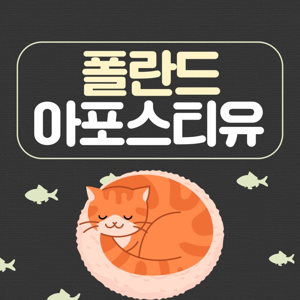  폴란드아포스티유 발급 및 쉽게 신청하는 방법 알아보기