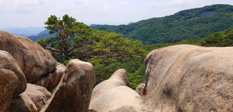금산 천태산