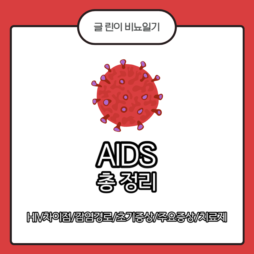  AIDS 총 정리 : HIV차이점/감염경로/초기증상/주요증상/치료제