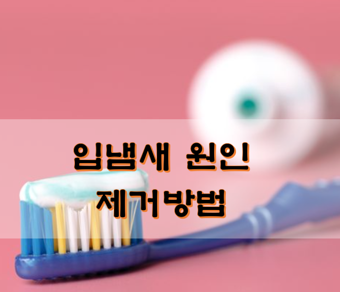  입냄새 원인 제거방법