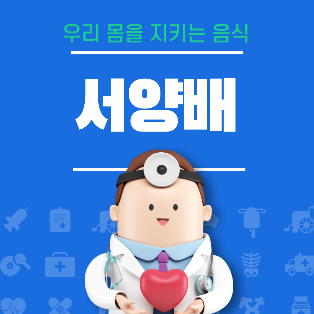서양배