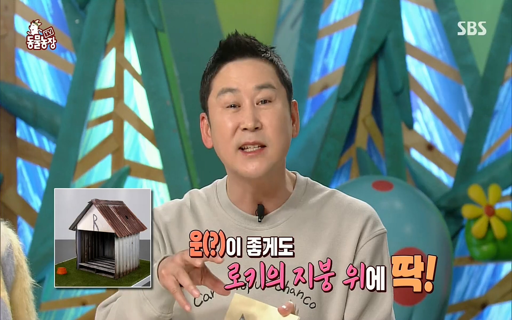 TV 동물농장.E1063.220403p.H264-F1RST.mp4_20220403_175106.183.jpg