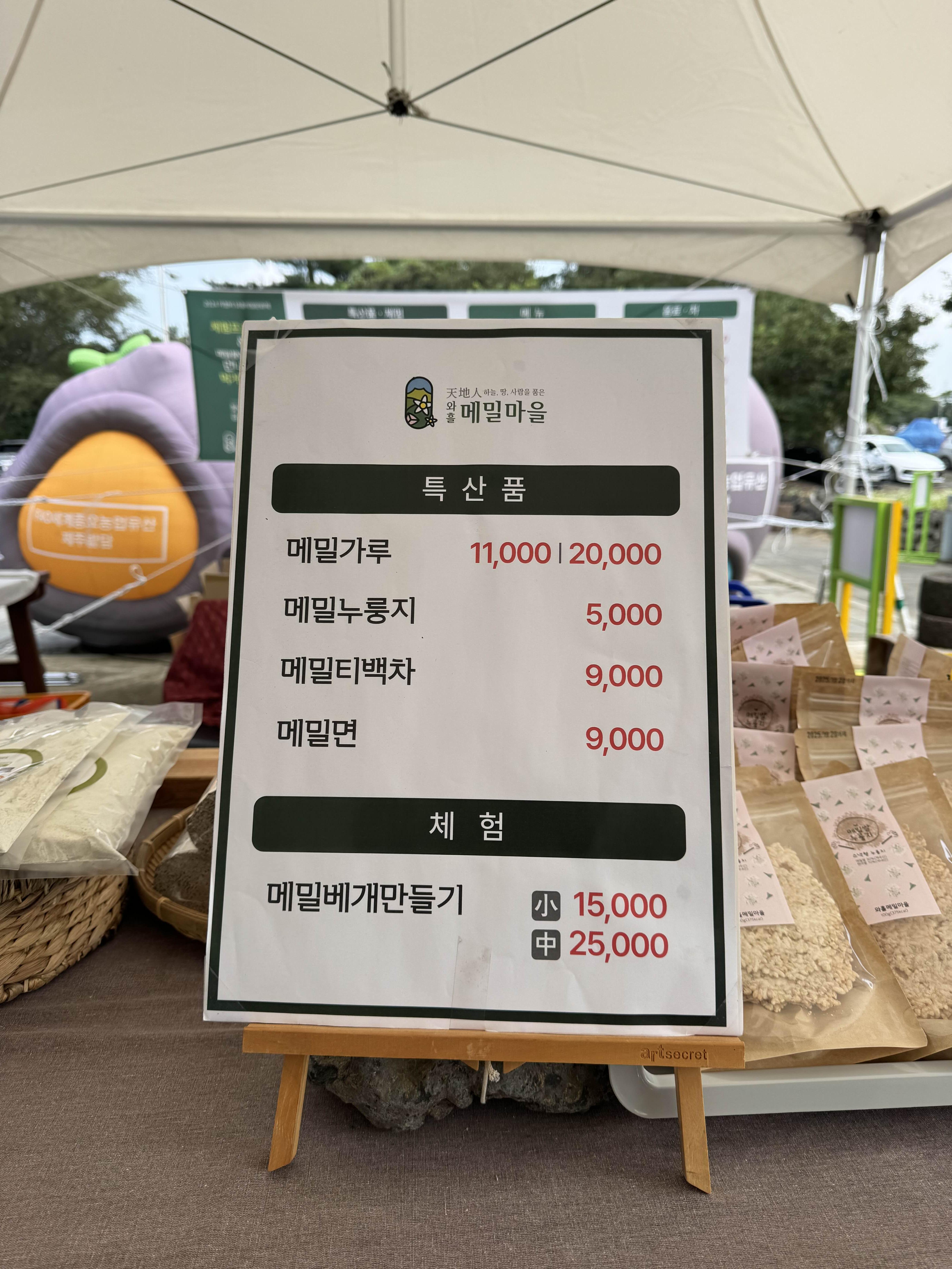 제주도 10월 가볼만한 곳 와흘메밀마을 메밀꽃 축제