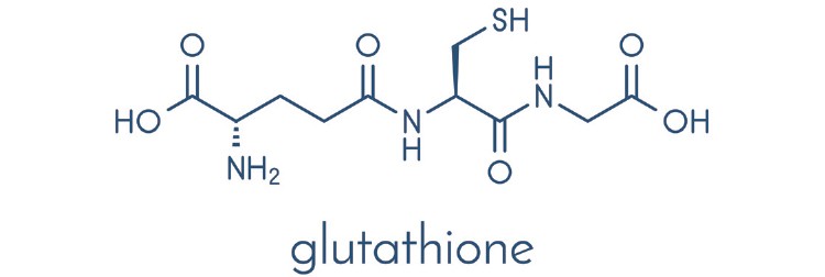 글루타티온 효능