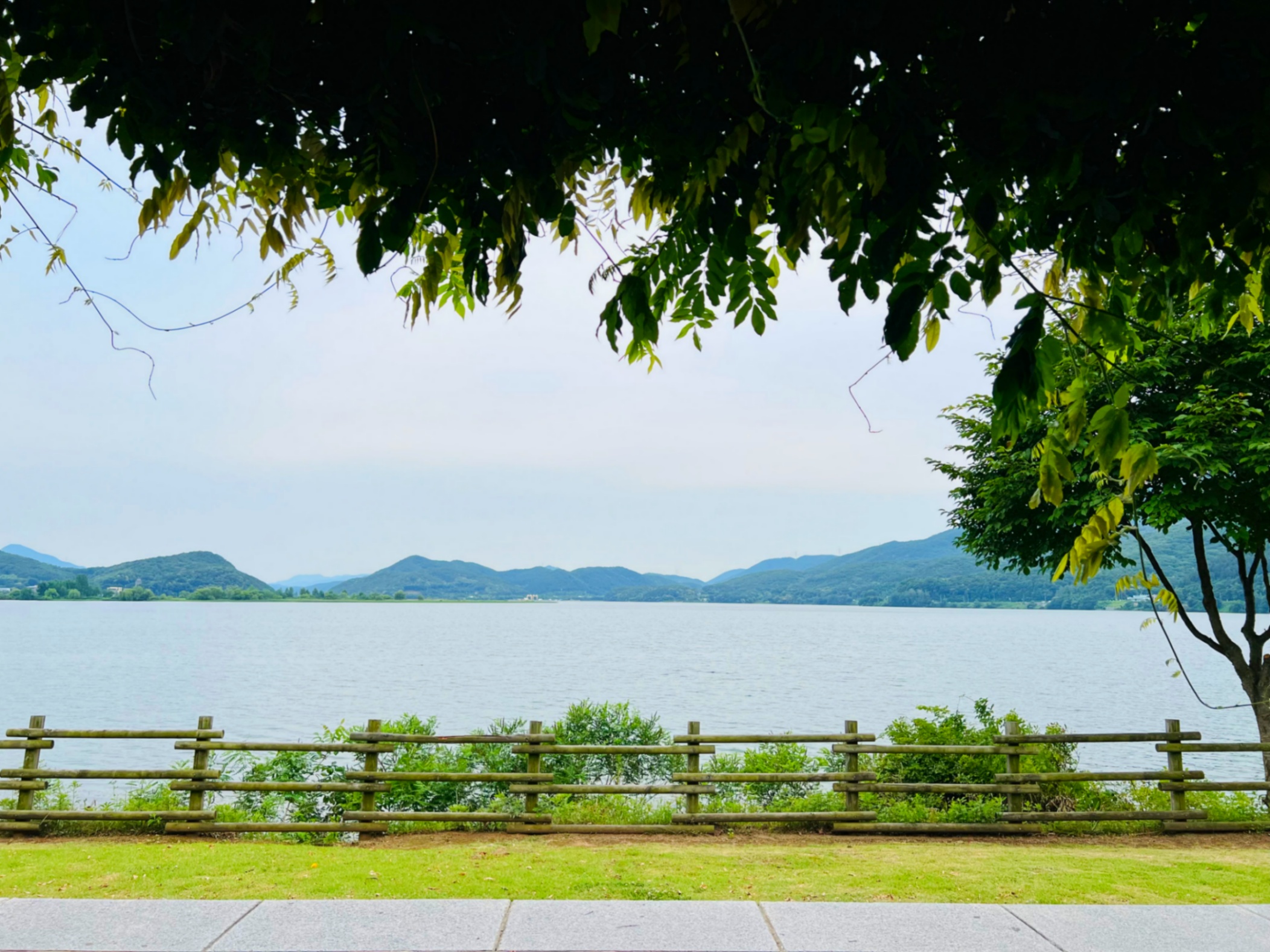 남한강과-산이-보이는-나무그늘-아래