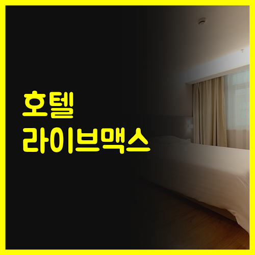 다카다노바바 에키마에 호텔 라이브맥스