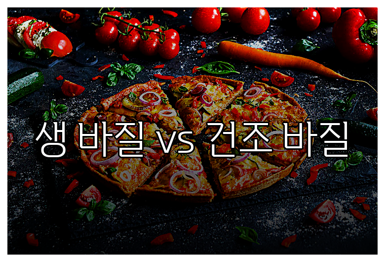 생 바질 vs 건조 바질