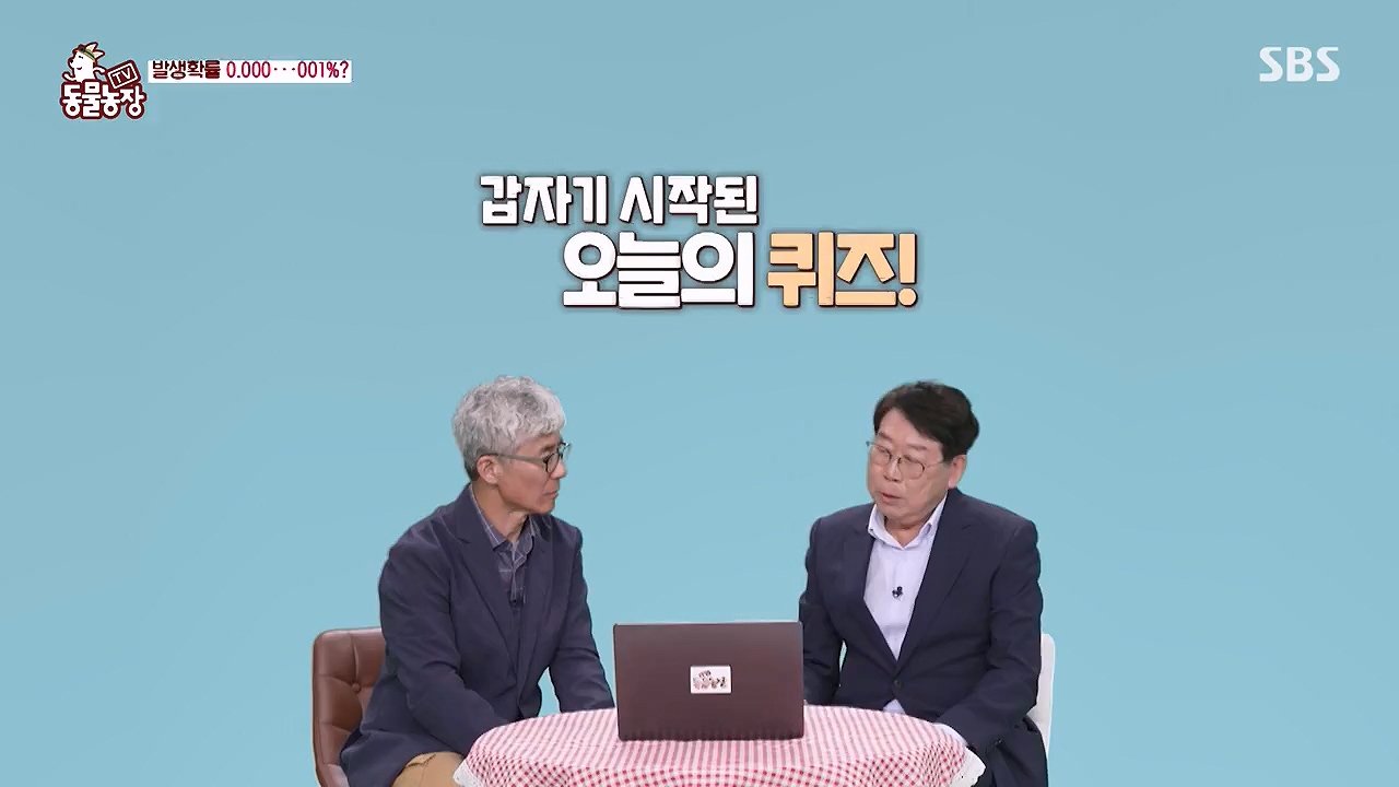 TV 동물농장.E1175.240610p-NEXT.mp4_20240609_160238.044.jpg