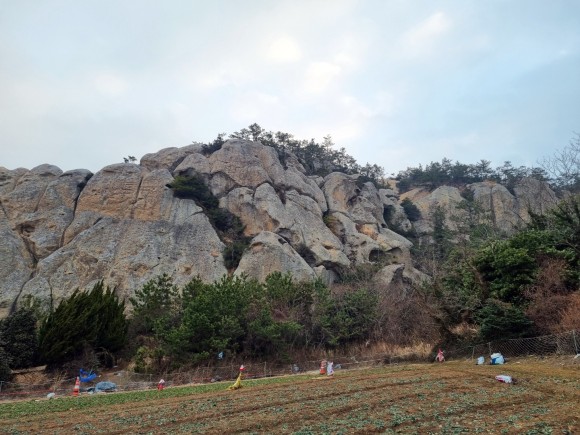 비금도 1. 14