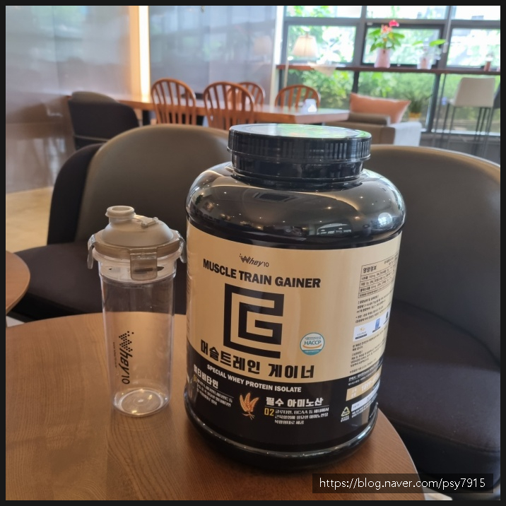 살찌는 프로틴으로 관리해요 8