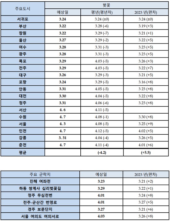 벚꽃 개화 시기 확인