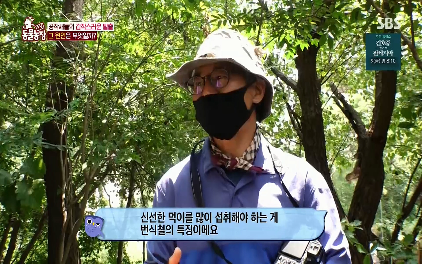 TV 동물농장.E1084.220828p.H264-F1RST.mp4_20220828_154053.995.jpg