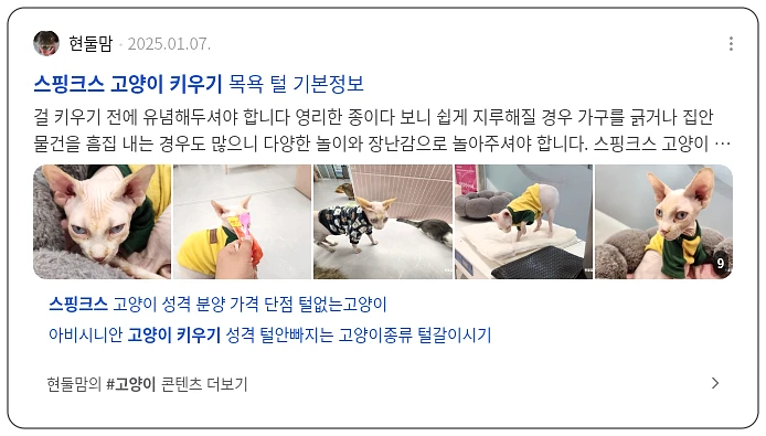 스핑크스 고양이 키우기_3_subsection