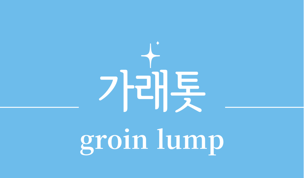 '가래톳(groin lump)'