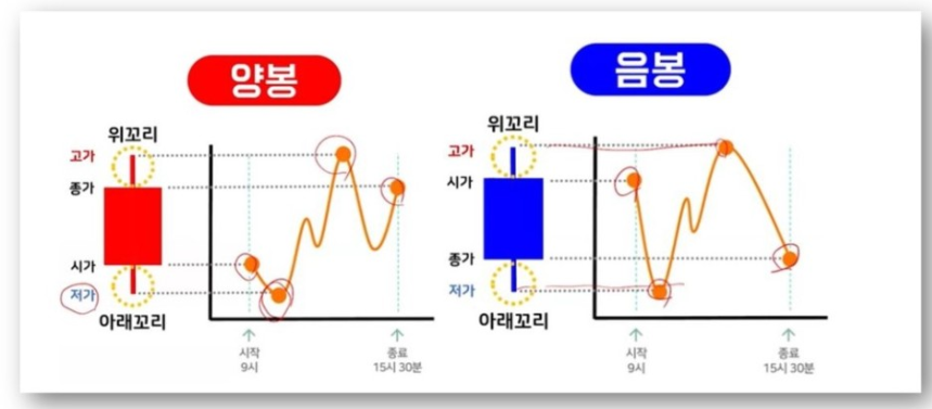 주식시세표몰라도 바이오제약주 9