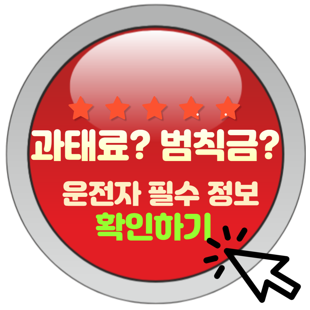  과태료와 범칙금 차이는? 운전 중 위반 시 알아둬야 할 필수 정보!