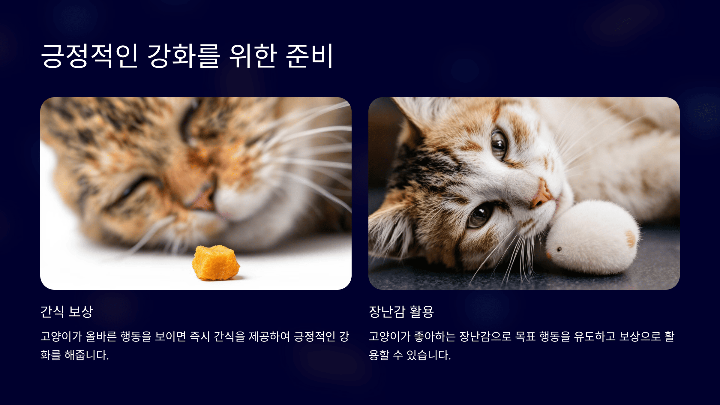 긍정적인 강화를 위한 간식과 장난감