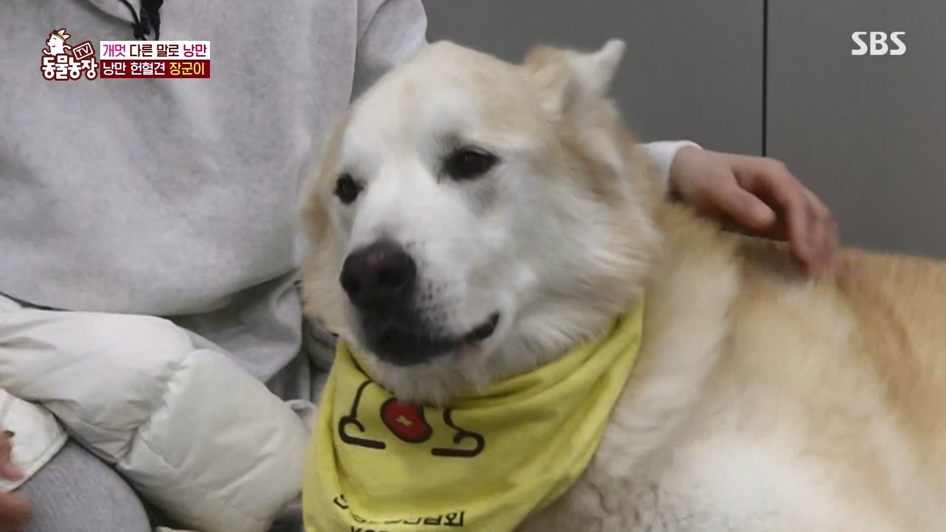 TV 동물농장.E1166.240407p-NEXT.mp4_20240407_164458.053.jpg